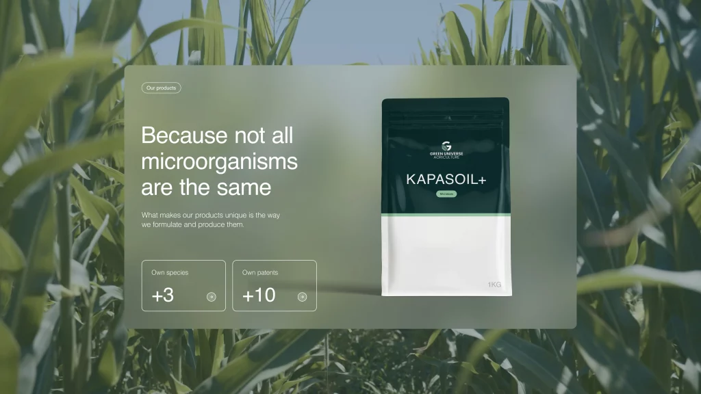 gua imagen edit 02 scaled