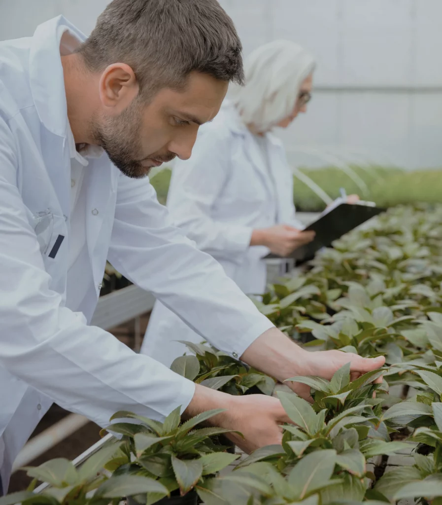 gua imagen edit 04 scaled