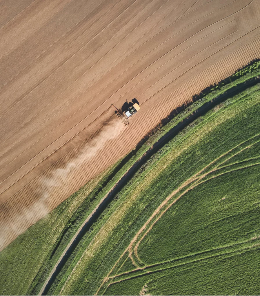 gua imagen edit 09 scaled