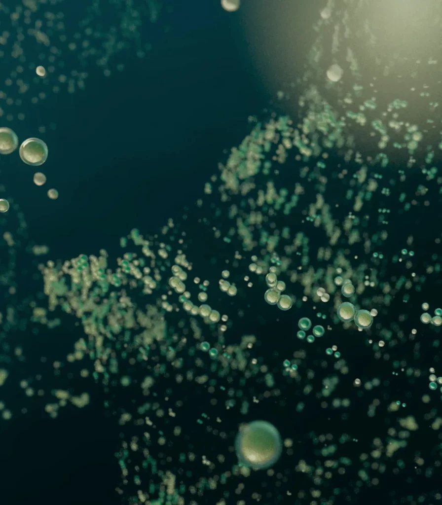 gua imagen portada edit responsive 01