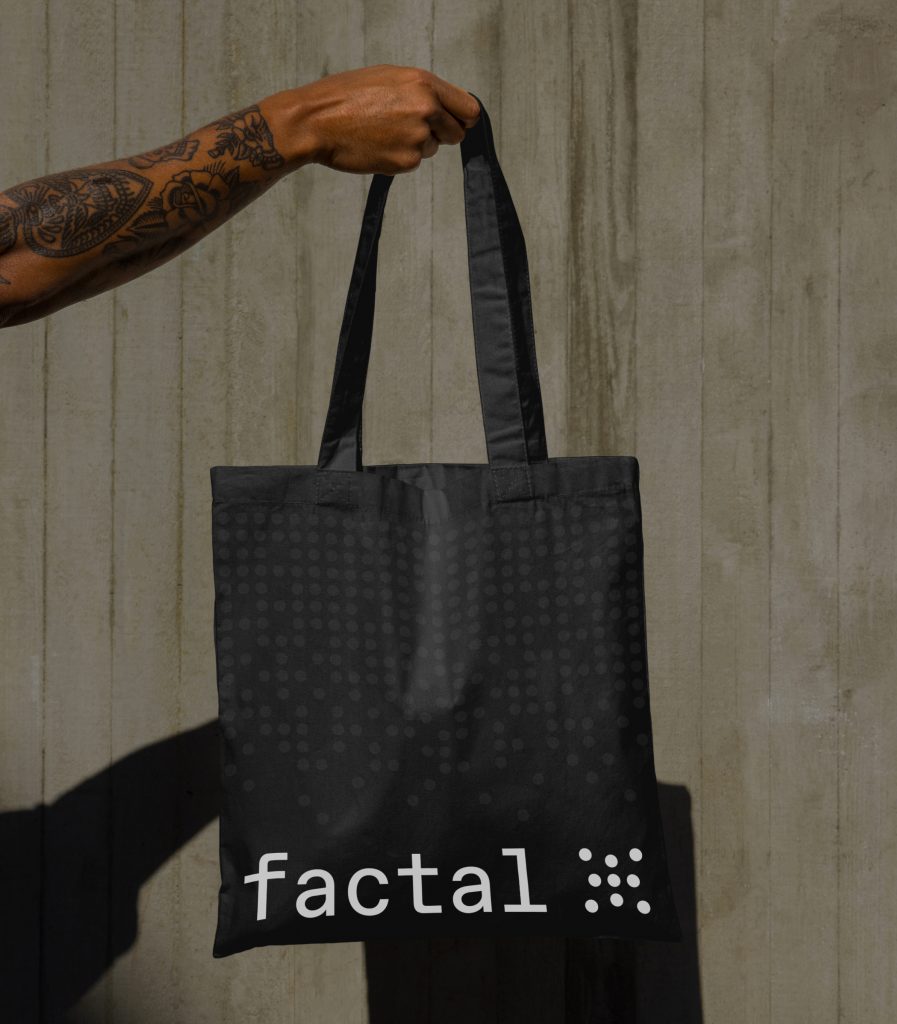 factal case study imagen 09